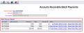 Accounts Receivable Batch Payment screen, right side detail shown with Batch Payment Details table highlighted, NEW look for Skyware